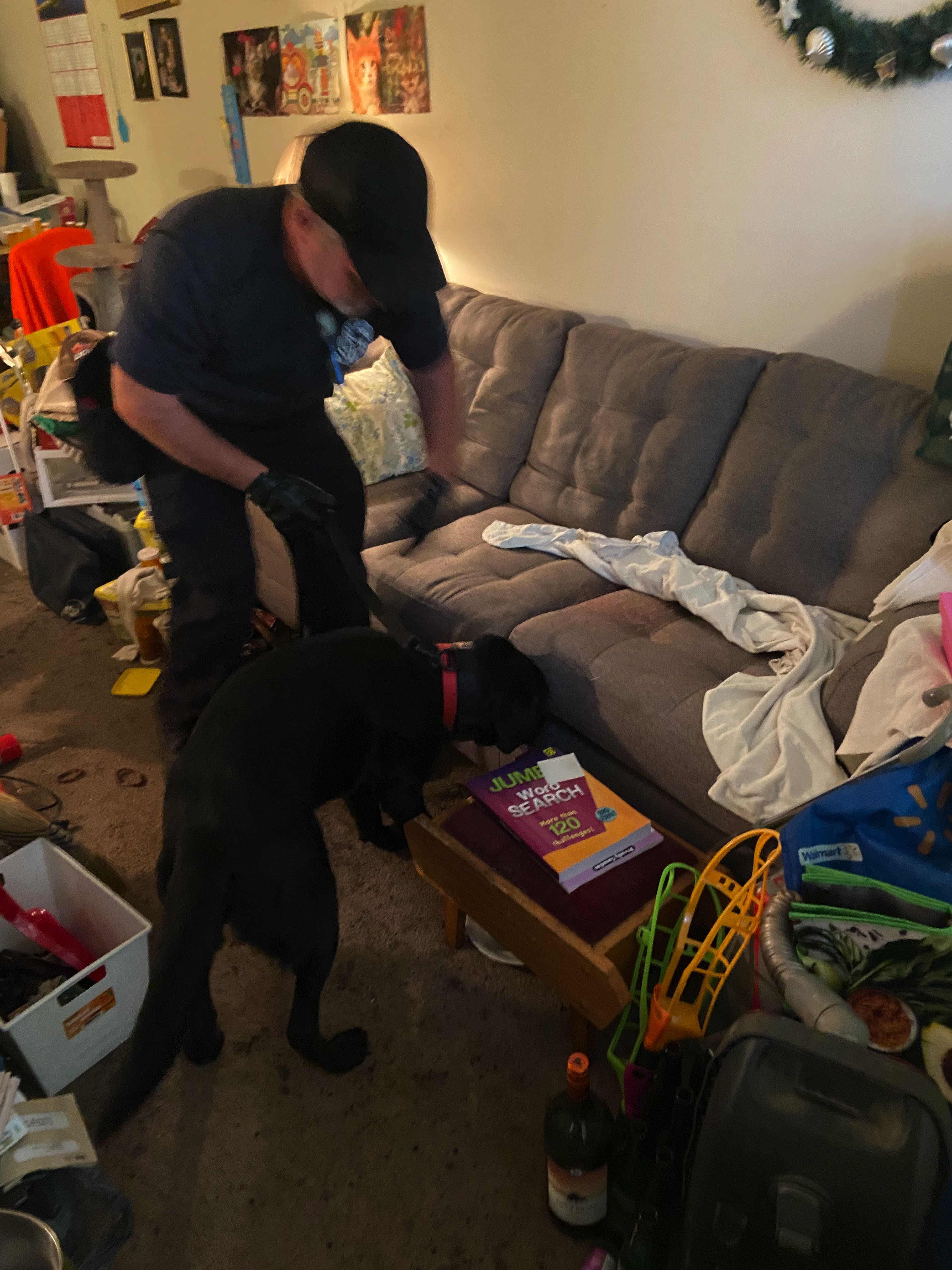 Detection team