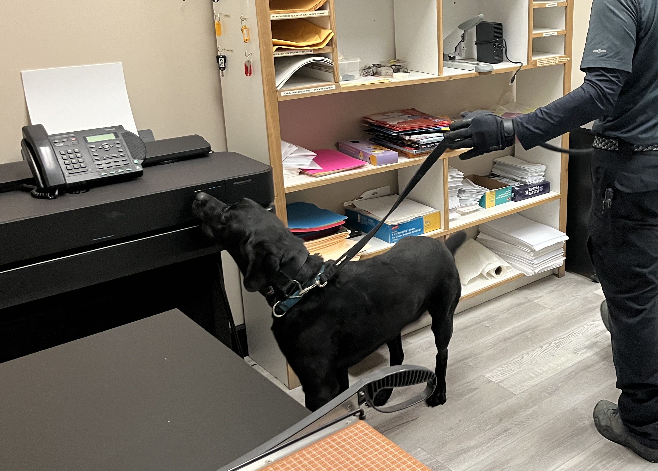 Atlas K9 detection team